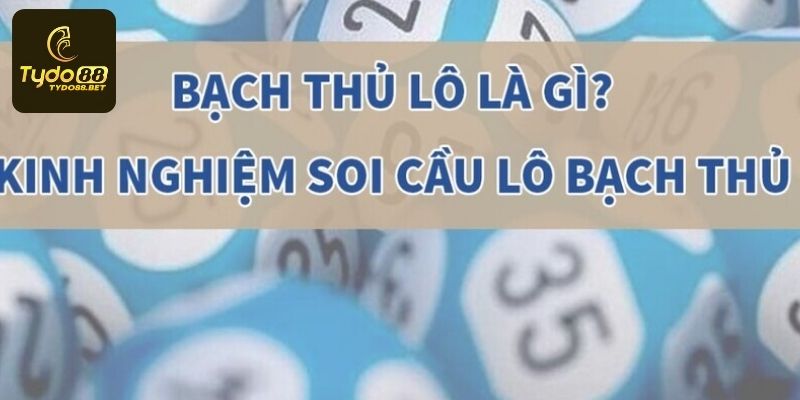 Bạch Thủ Lô Là Gì Và Những Cách Soi Cầu Ăn Thông Tại Tydo88