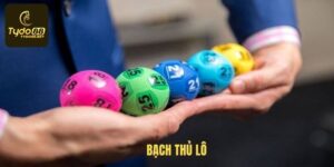 Bạch Thủ Lô Và Tuyệt Chiêu Chốt Số Trúng Lớn Tại Tydo88