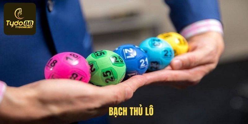 Bạch Thủ Lô Và Tuyệt Chiêu Chốt Số Trúng Lớn Tại Tydo88