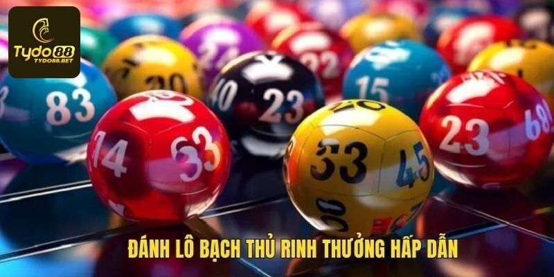 Đánh lô bạch thủ kép săn thưởng khủng