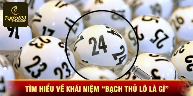 Giải đáp thắc mắc cách chơi bạch thủ lô là gì