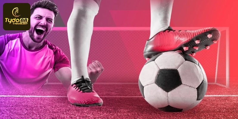 Kèo Trên Kèo Dưới Là Gì? Bí Quyết Soi Kèo Chuẩn Xác